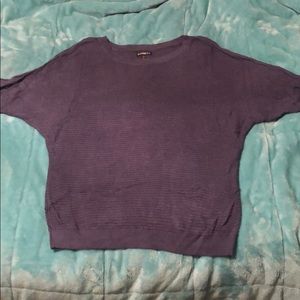 Express see through dusty purple light sweater